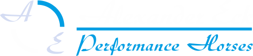 Logo von Alexander Eck Performance Horses mit stilisierten Buchstaben A und E in blauer Schrift.